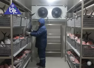 Jasa Perbaikan dan Instalasi Cold Storage untuk Freezer dan Chiller